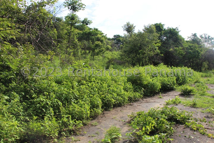 Exclusive Lot - Terreno en Chame